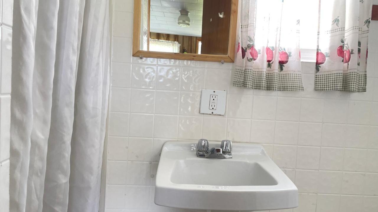 Rachel'S Motel And Cottages Surrey Екстериор снимка