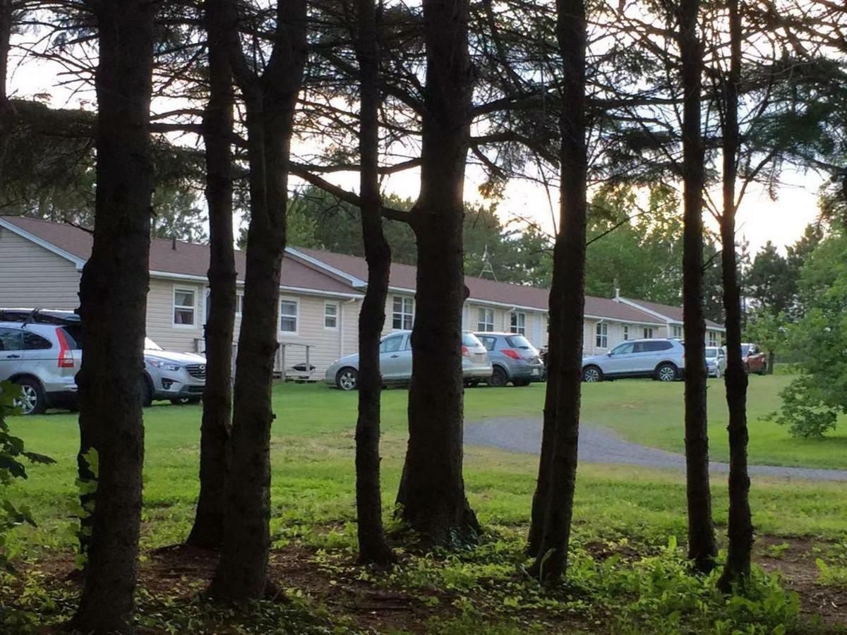 Rachel'S Motel And Cottages Surrey Екстериор снимка